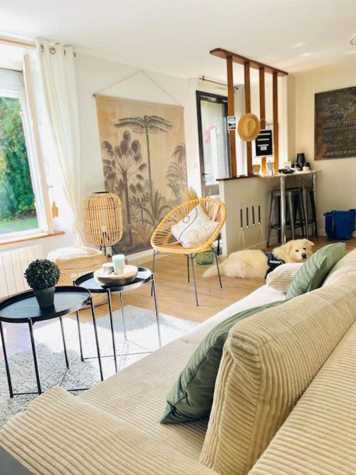 Le Cottage Breton, Hypercentre Historique Stb Saint-Brieuc Zewnętrze zdjęcie
