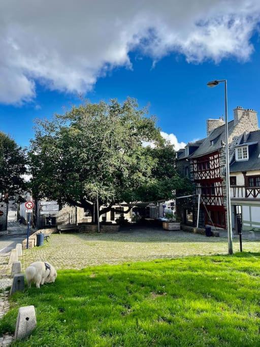 Le Cottage Breton, Hypercentre Historique Stb Saint-Brieuc Zewnętrze zdjęcie